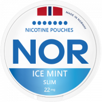 NOR Ice Mint 22mg Slim
