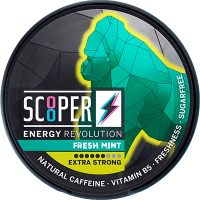 Scooper Energy Fresh Mint