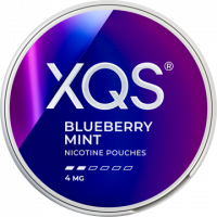 XQS Blueberry Mint 4mg