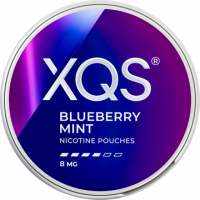 XQS Blueberry Mint Strong