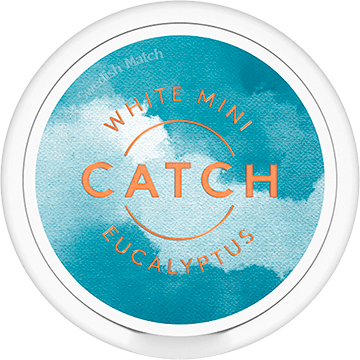 Catch Dry Eucalyptus Mini