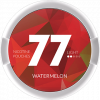 77 Watermelon Light