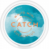 Catch Dry Eucalyptus Mini
