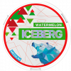 ICEBERG Watermelon Medium