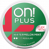 on! Plus Watermelon Mint Regular