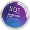 XQS Blueberry Mint 4mg