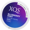 XQS Blueberry Mint Strong