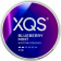 XQS Blueberry Mint 4mg