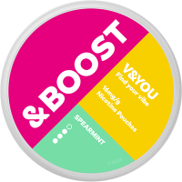 V&YOU Boost Spearmint