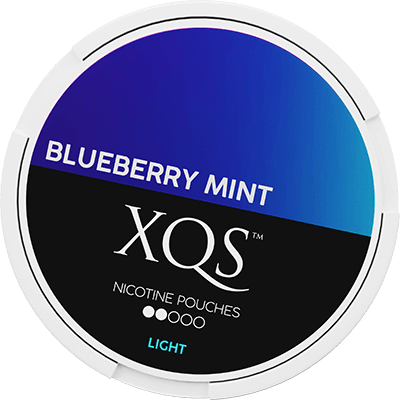 XQS Blueberry Mint 4mg