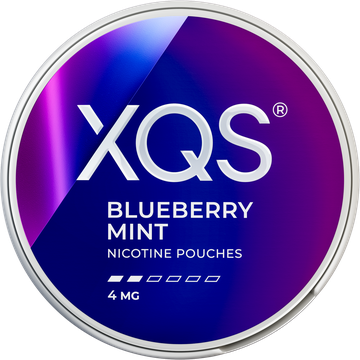 XQS Blueberry Mint 4mg
