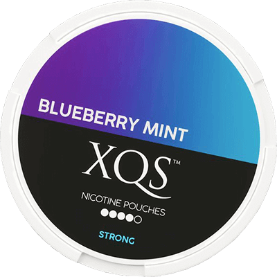 XQS Blueberry Mint Strong