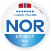 NOR Ice Mint 22mg Slim