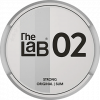 LAB 02 Strong Slim