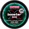 X Booster Cool Mint 80mg