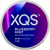 XQS Blueberry Mint 4mg