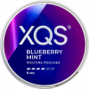 XQS Blueberry Mint Strong