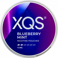XQS Blueberry Mint 4mg