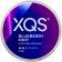 XQS Blueberry Mint 4mg