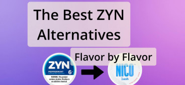 The Best ZYN Alternatives - Flavor by Flavor