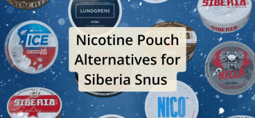 Nicotine Pouch Alternatives for Siberia Snus