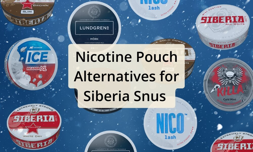 Nicotine Pouch Alternatives for Siberia Snus