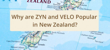 Why are ZYN and VELO Popular in New Zealand?