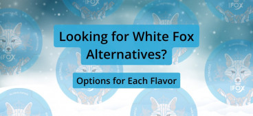 The Best White Fox Alternatives