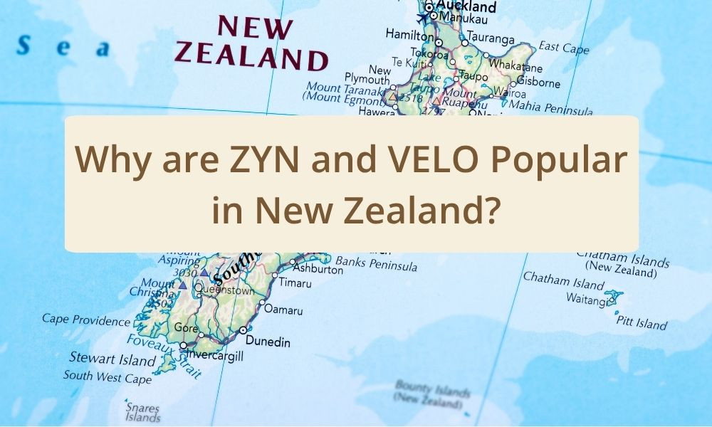 Why are ZYN and VELO Popular in New Zealand?